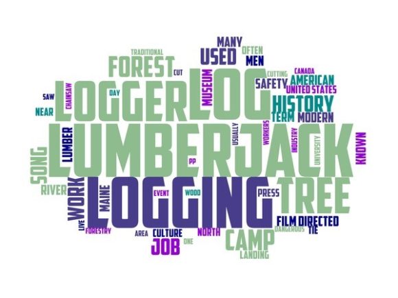 Lumberjack Typography Book Cover