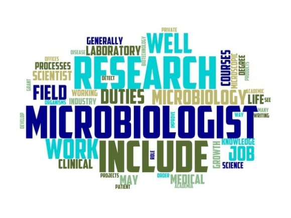 Microbiologist Typography Sublimation: A Creative Tool for Designers and Entrepreneurs