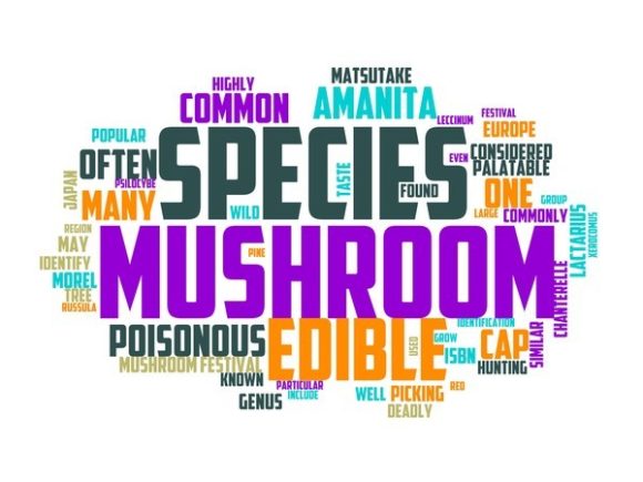 Mushroom Hunting Typography Tumbler